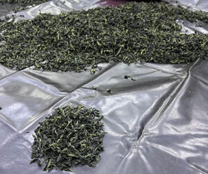 職人堅持的極致工藝——尚德茶堂冬茶賽前秘辛